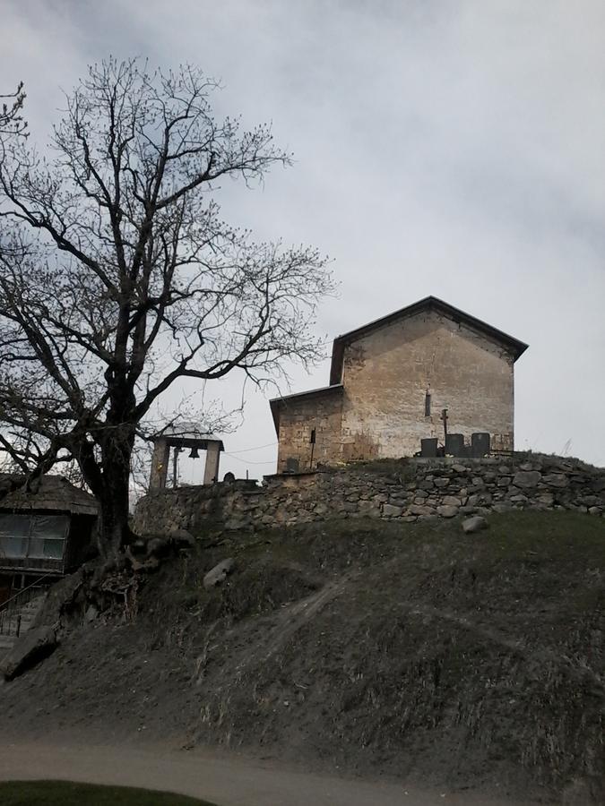 Laila Guest House Mestia Zewnętrze zdjęcie